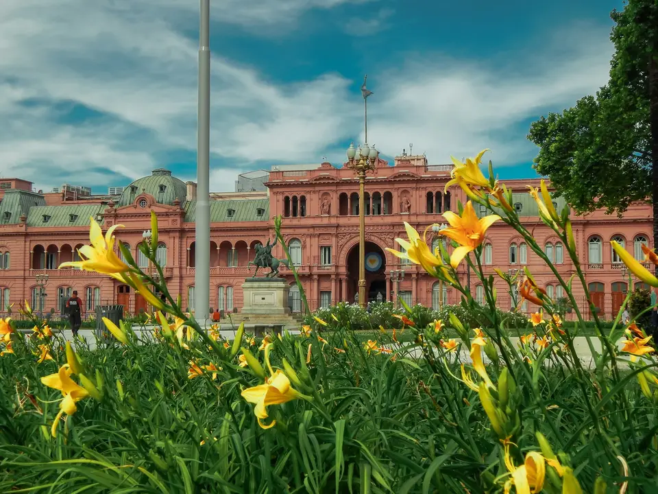 yellow flowers in front of white and brown building — Buenos Aires