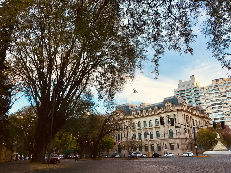 A city street with tall buildings and trees — Rosario