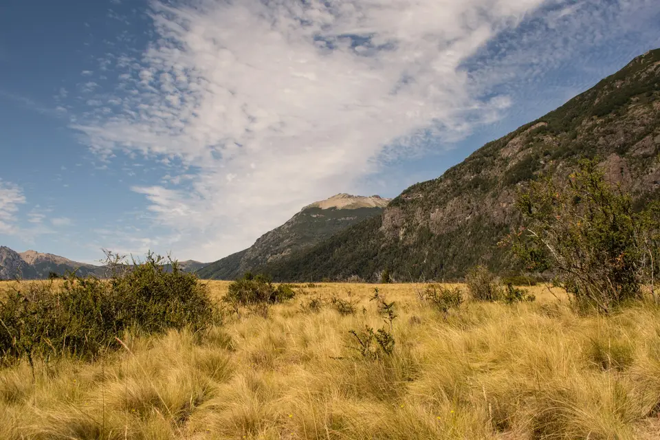 green and brown grass field near mountain under blue sky during daytime — San Martín de los Andes