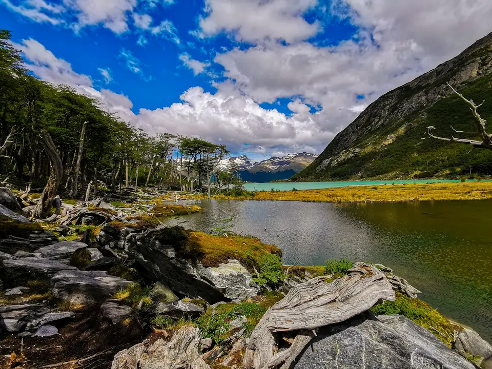 a river with rocks and trees — Ushuaia