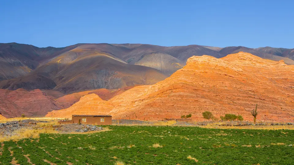 brown and white house on green grass field near brown mountain under blue sky during daytime — Valle de Uco